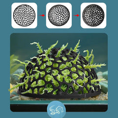JINJUMEI assemblage simple, installation rapide dans l’aquarium.