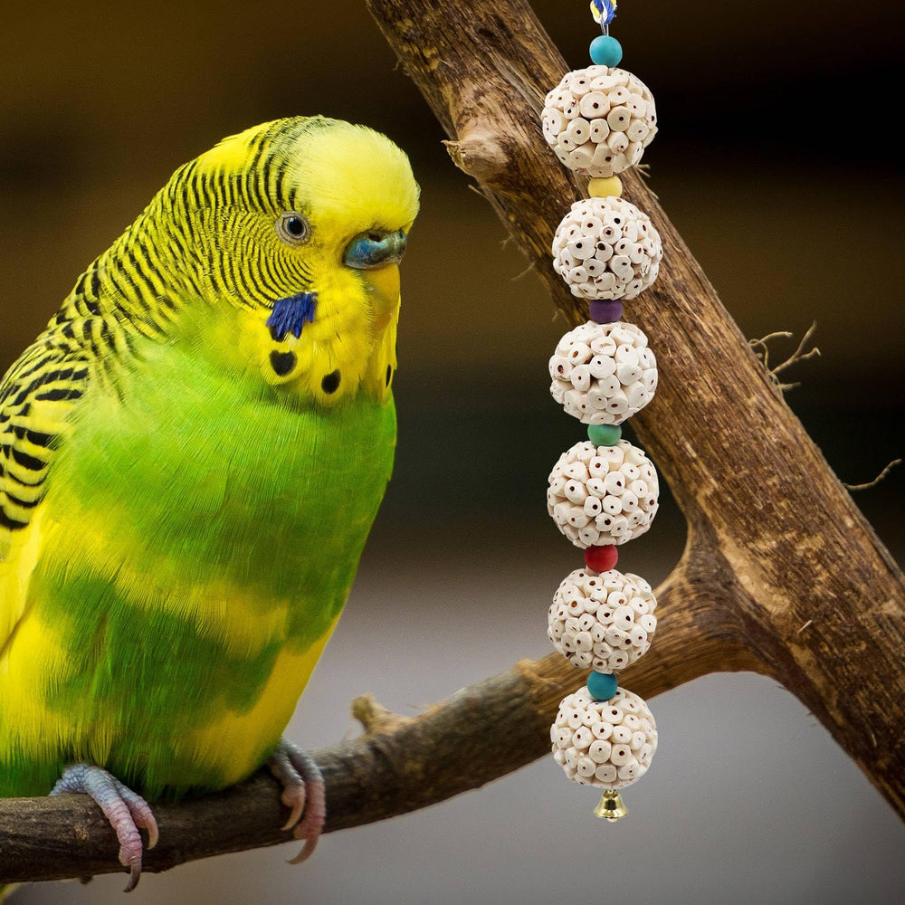 Jinkoozz cloche métallique — tintement pendant le mâchage pour enrichment sensoriel.