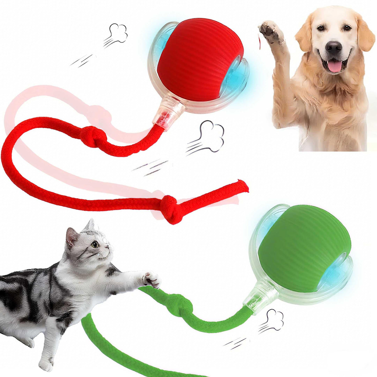 JinRui-T balle interactive roulante, stimule le jeu et l'exercice chez chien et chat.