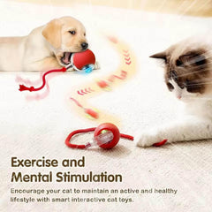 JinRui-T balle-mode-interactif, engage l'animal avec des mouvements variés.