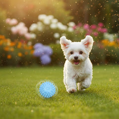 Jinshining balle épineuse jaune sans bruit, sécurité et amusement pour chiots.