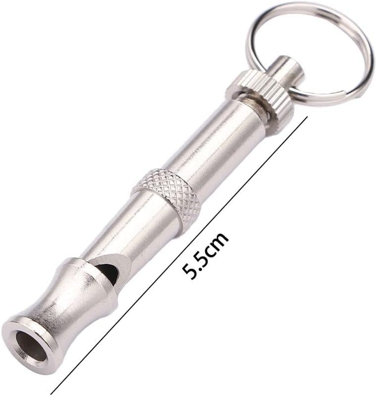 Sifflet Jinshining optimal lors d'activités en plein air