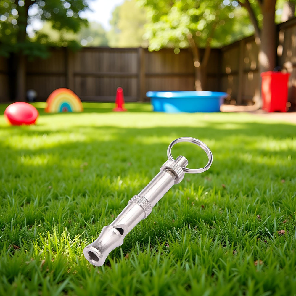 Sifflet Jinshining portable idéal pour l'entraînement en déplacement