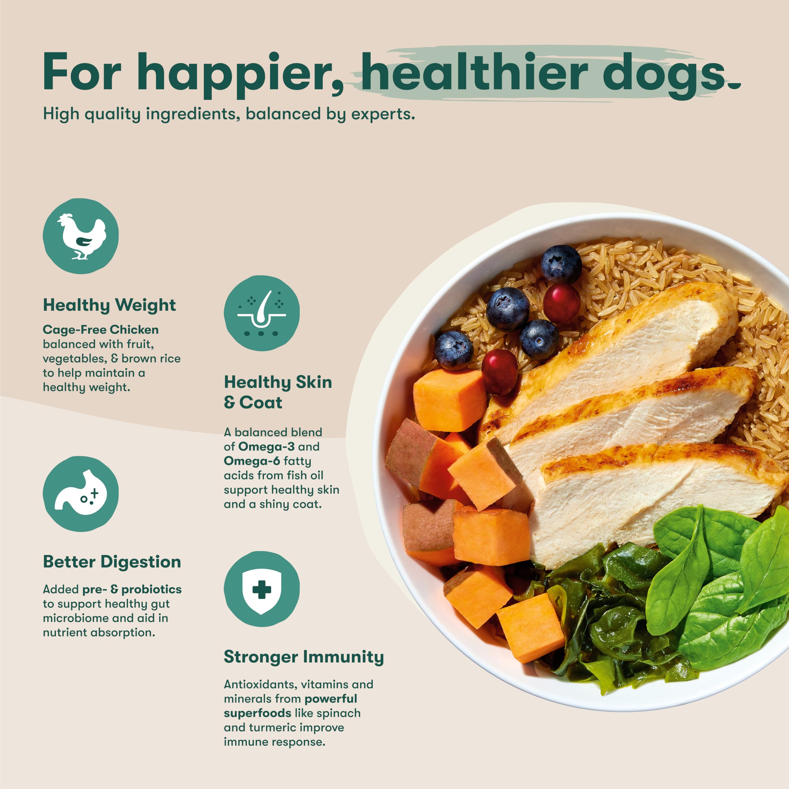 Chien avec Jinx superaliments, soutien immunitaire possible.