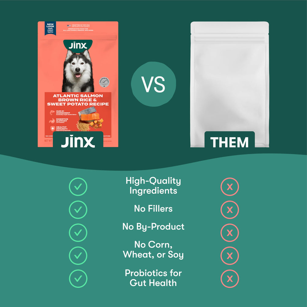Probiotiques et fibres Jinx pour digestion équilibrée et immunité potentielle