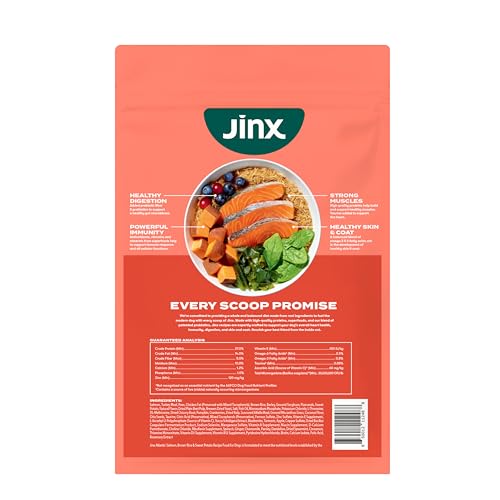 Soutien potentiel à l’immunité et au bien-être général avec Jinx