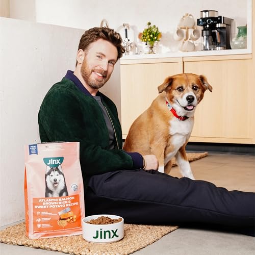 Jinx Sauce: optimise les repas de croquettes avec bouillon de poulet nutritif et naturel.