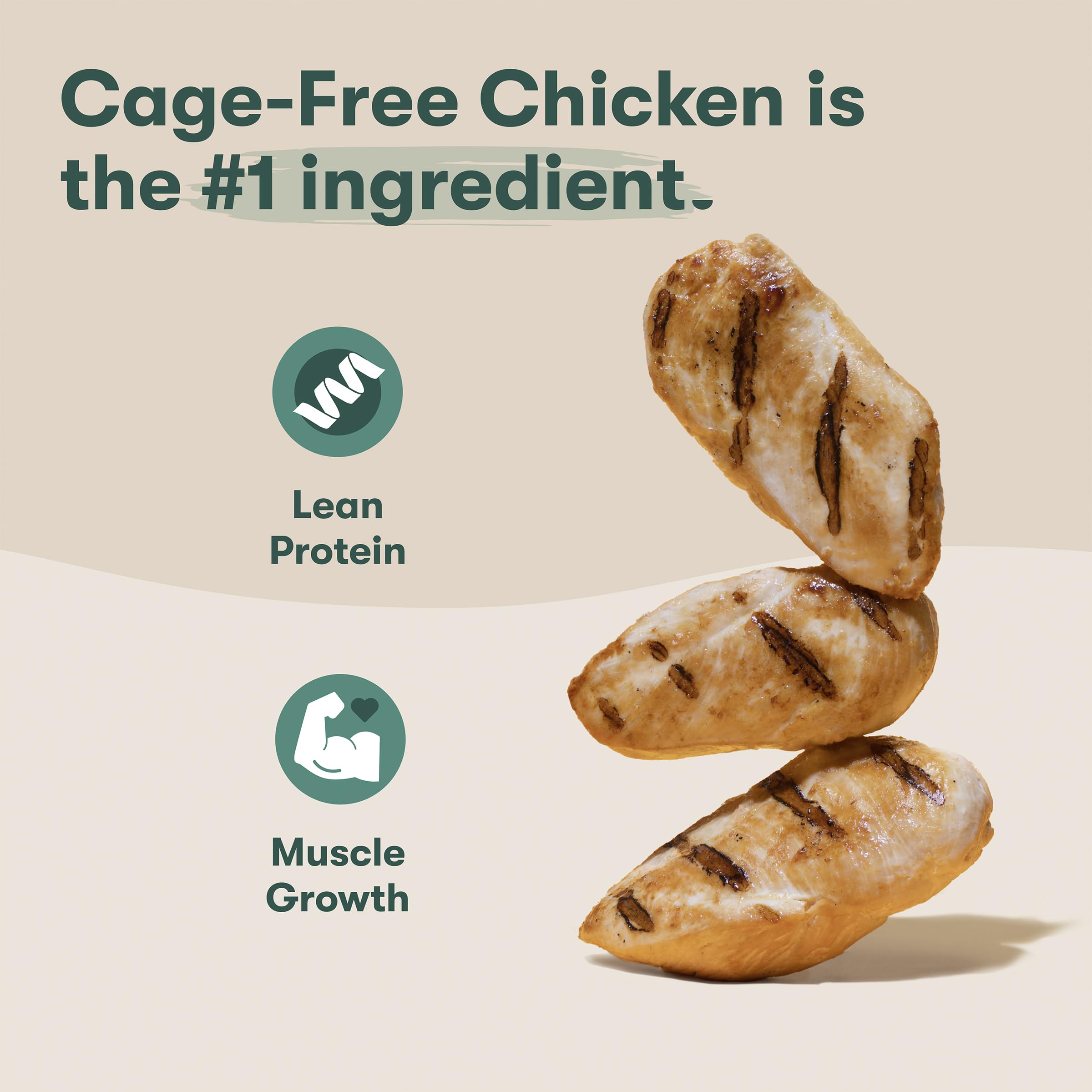 Jinx Senior – protéine de poulet des États-Unis pour muscles maigres.