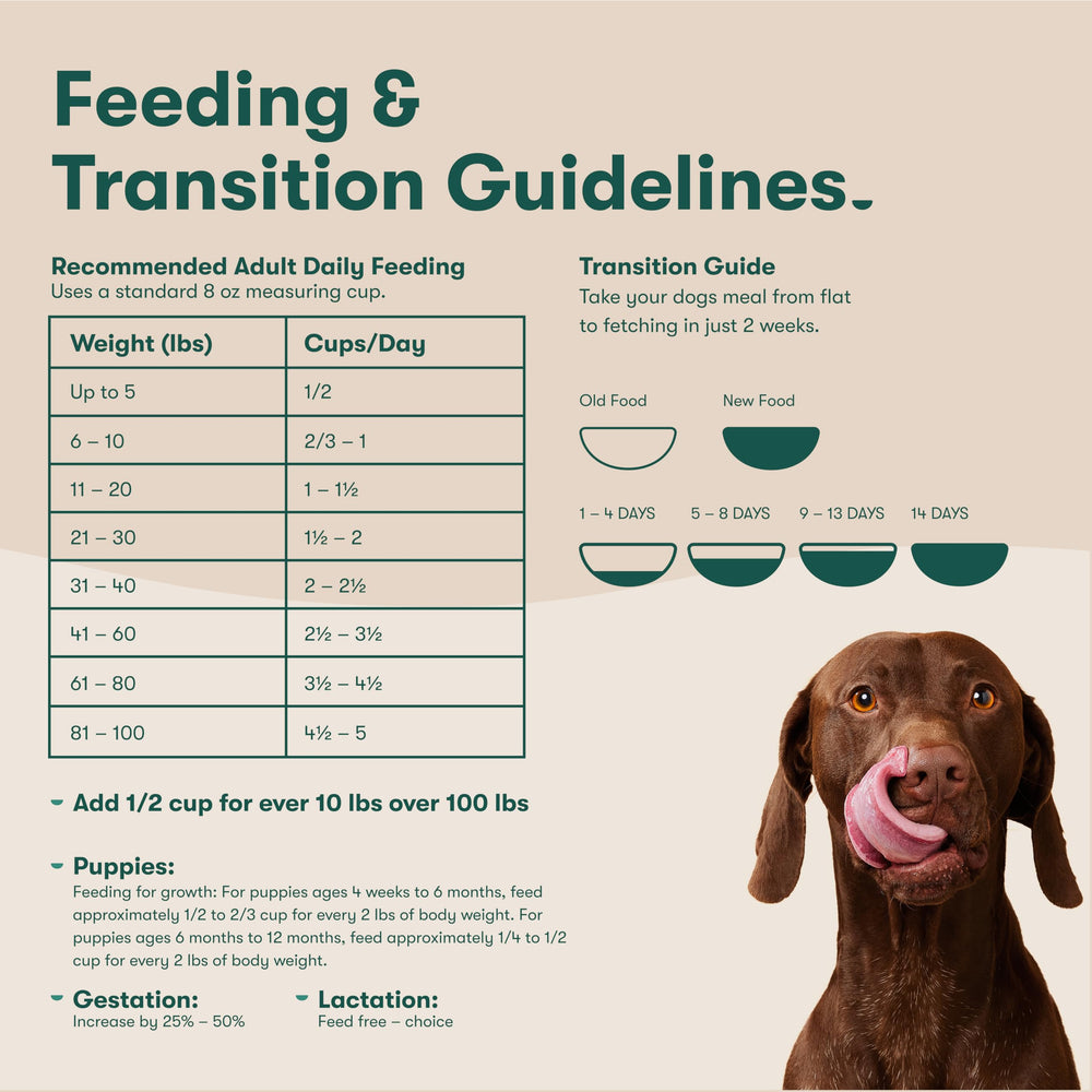 Idéal pour l’alimentation quotidienne des chiens de toutes tailles.