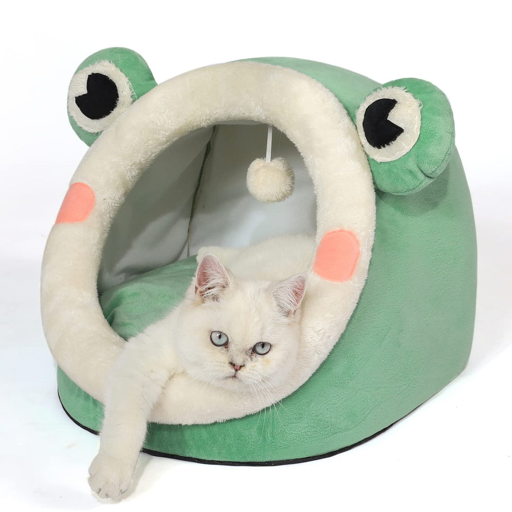 Jiupety boule-poil suspendue attire lattention du chat pour lhabituation.