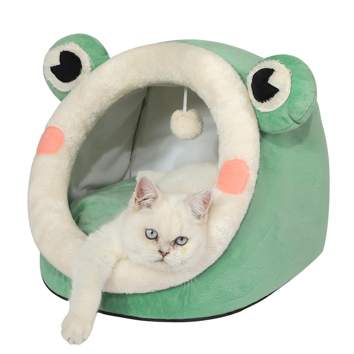 Jiupety lit chat igloo velours vert grenouille offre un cocon chaud pour chats.