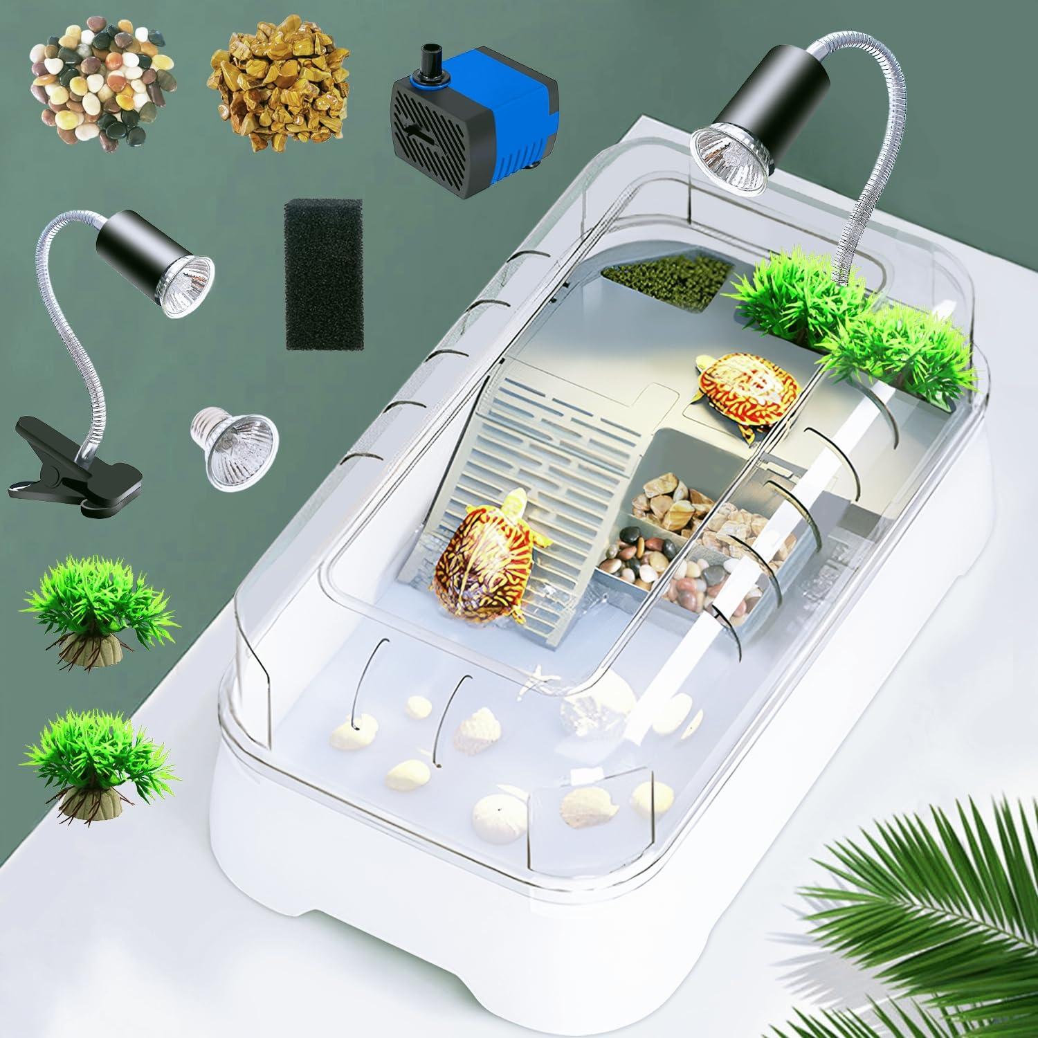 JIURUN kit tortue pompe-filtre en fonctionnement pour eau claire