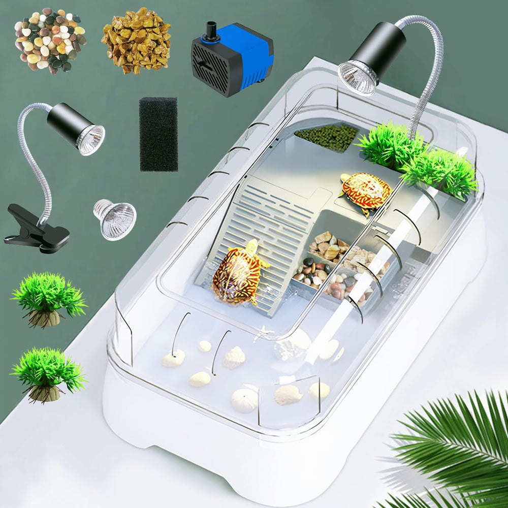JIURUN kit tortue pompe-filtre en fonctionnement pour eau claire