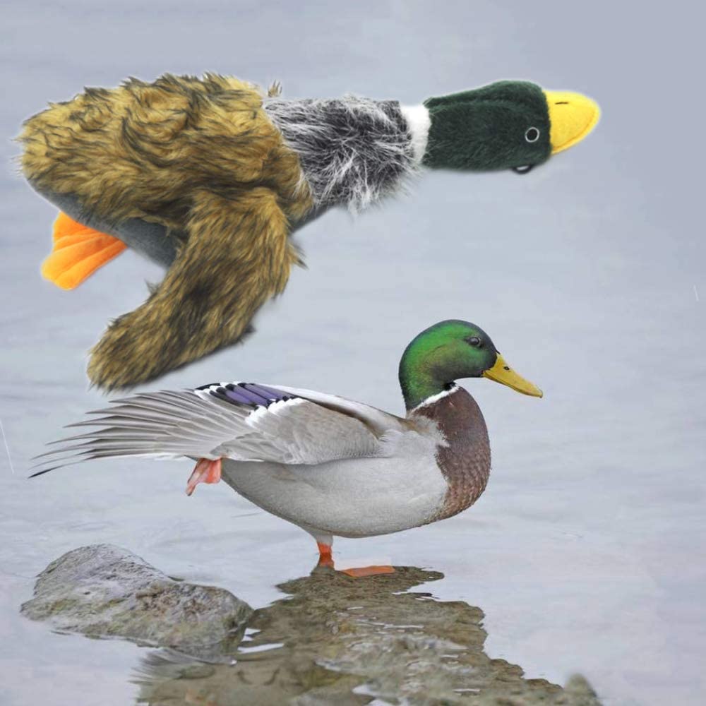 JKW peluche canard colvert polyvalente, usage polyvalent pour chiens et chats.