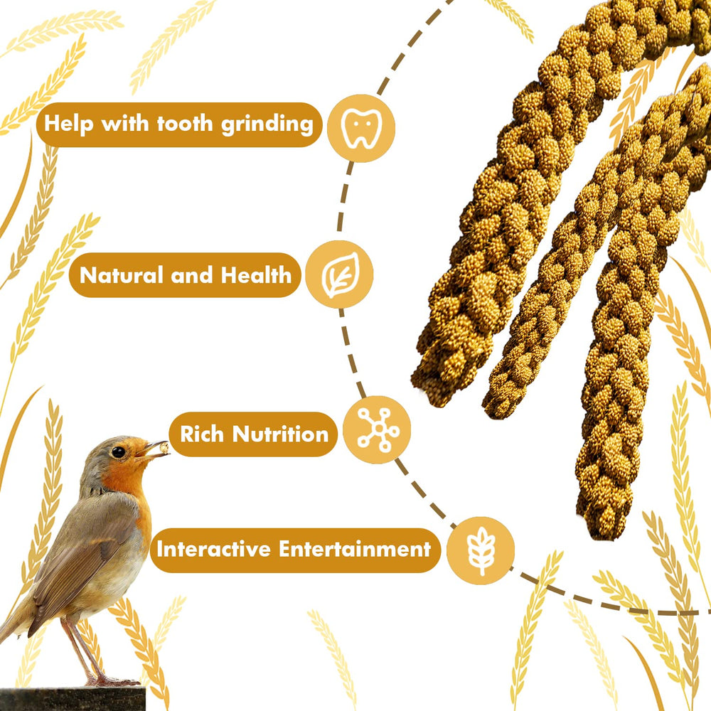 Jmxu's Spray Millet, source de protéines pour les oiseaux, en complément occasionnel.