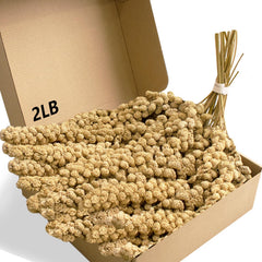 Jmxu's Spray Millet pour oiseaux, longueur 32 cm, idéal pour un en-cas naturel.