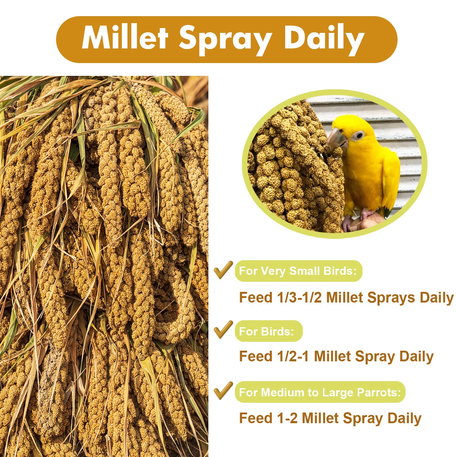 Jmxu's Spray Millet, usage quotidien facile hors cage.