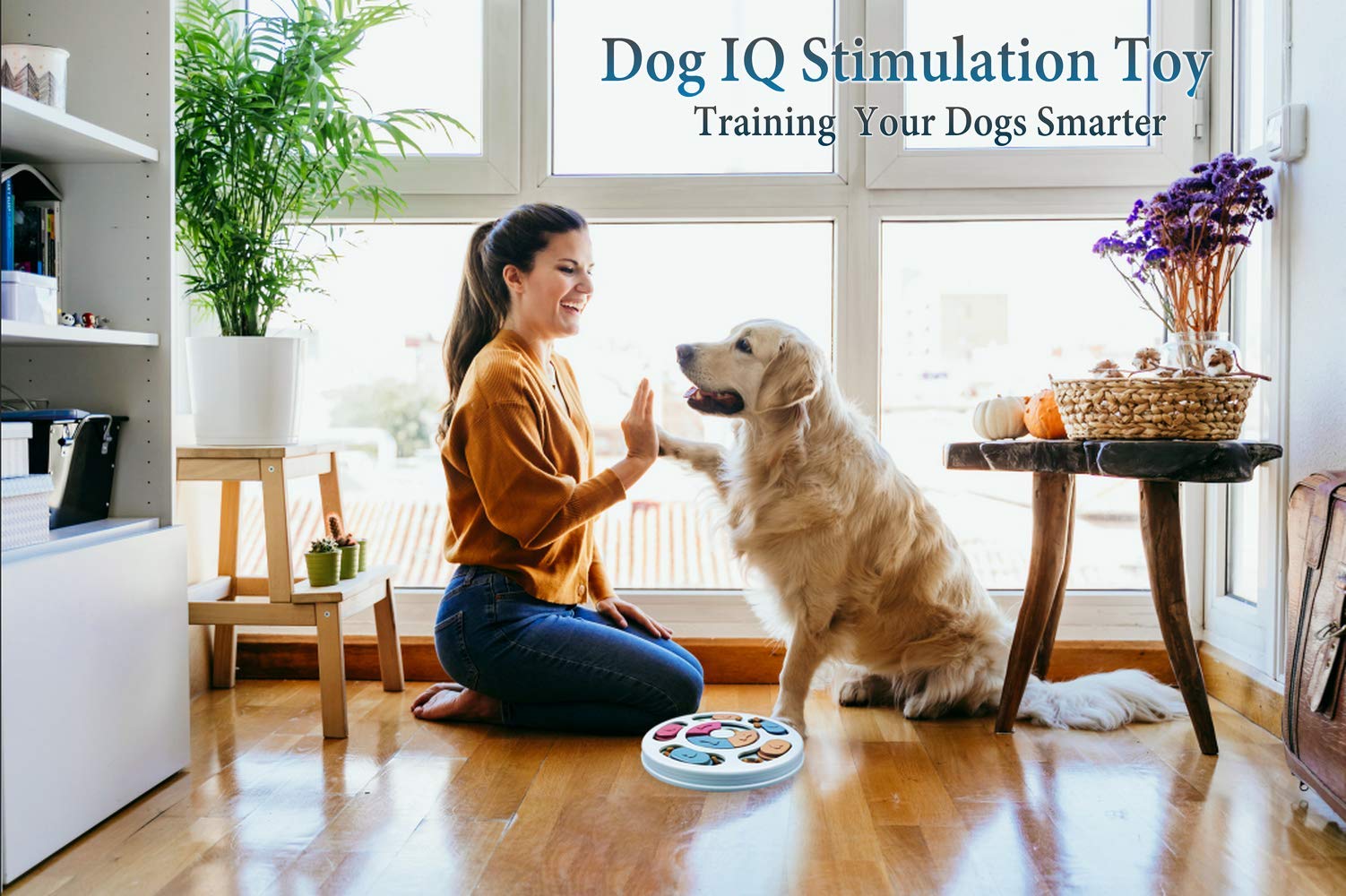 Joansan Design mignon et durable, jouet résistant pour chiens et chats.