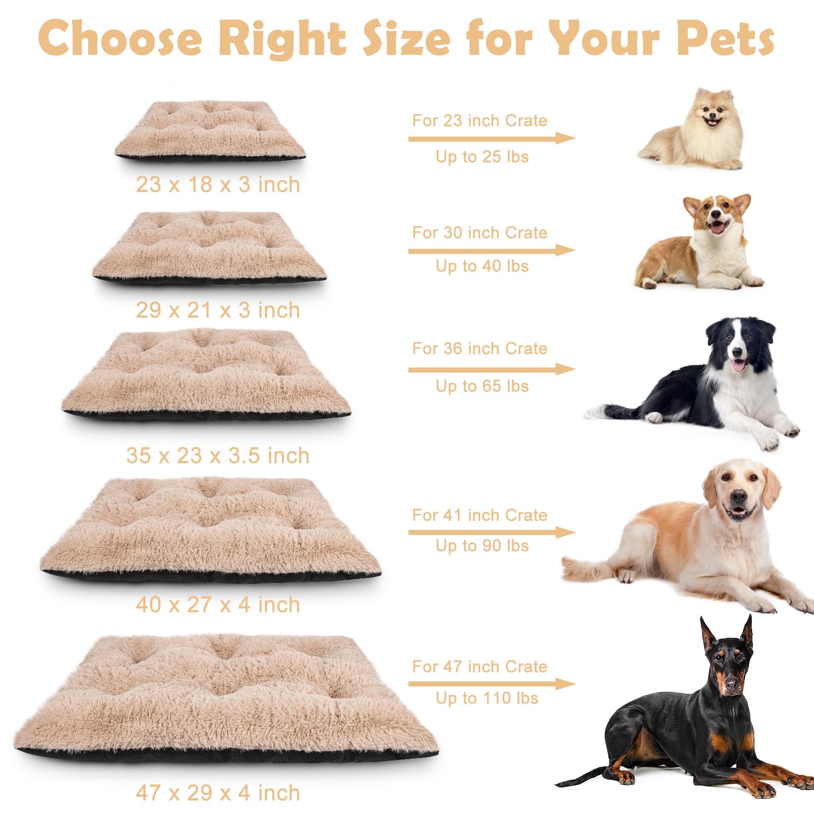 JOEJOY grand-format 40x27, adapté pour chiens de taille moyenne à grande.