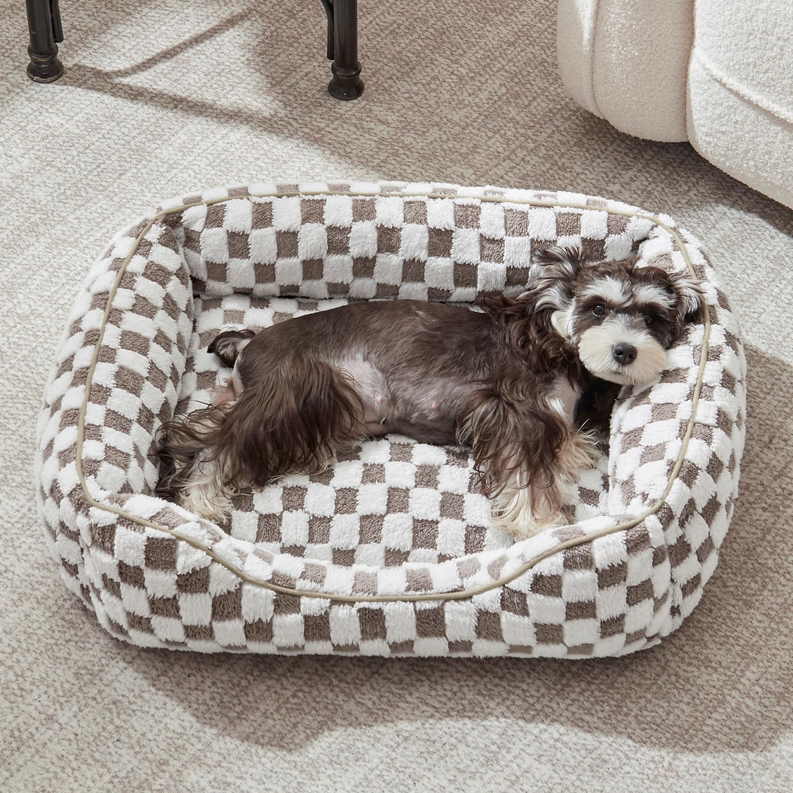 Idéal pour chats et chiens de petite taille, espace privé et réconfort.