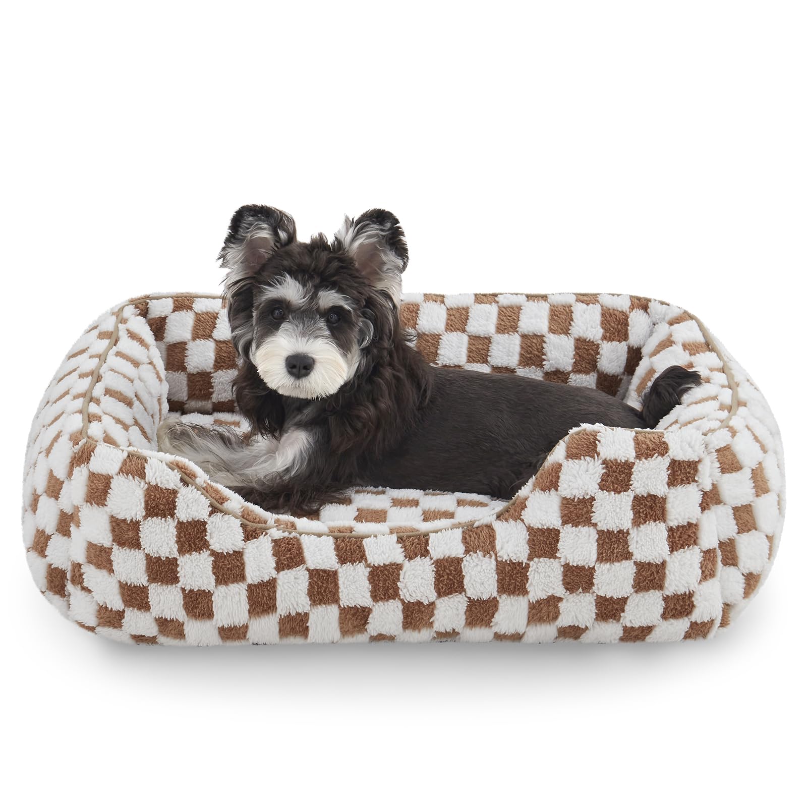 JOEJOY lit chien petit avec plaid doux pour le confort quotidien