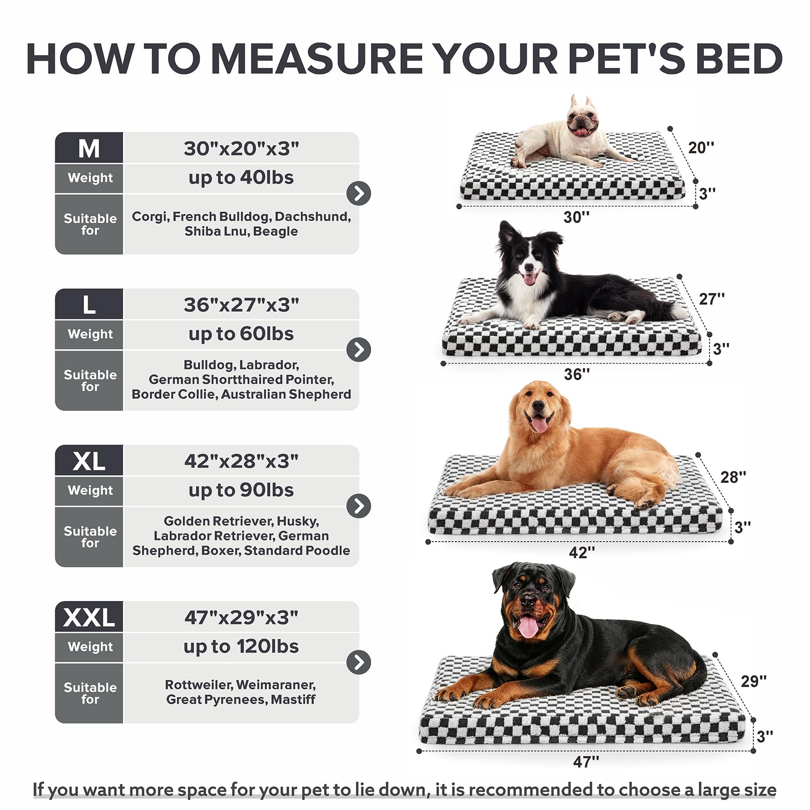Utilisation polyvalente du lit chien JOEJOY XL en caisse ou en voyage.