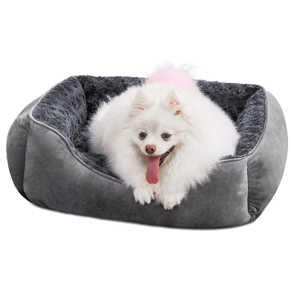 Lit rectangle JOEJOY gris foncé offrant un soutien confortable pour le chien