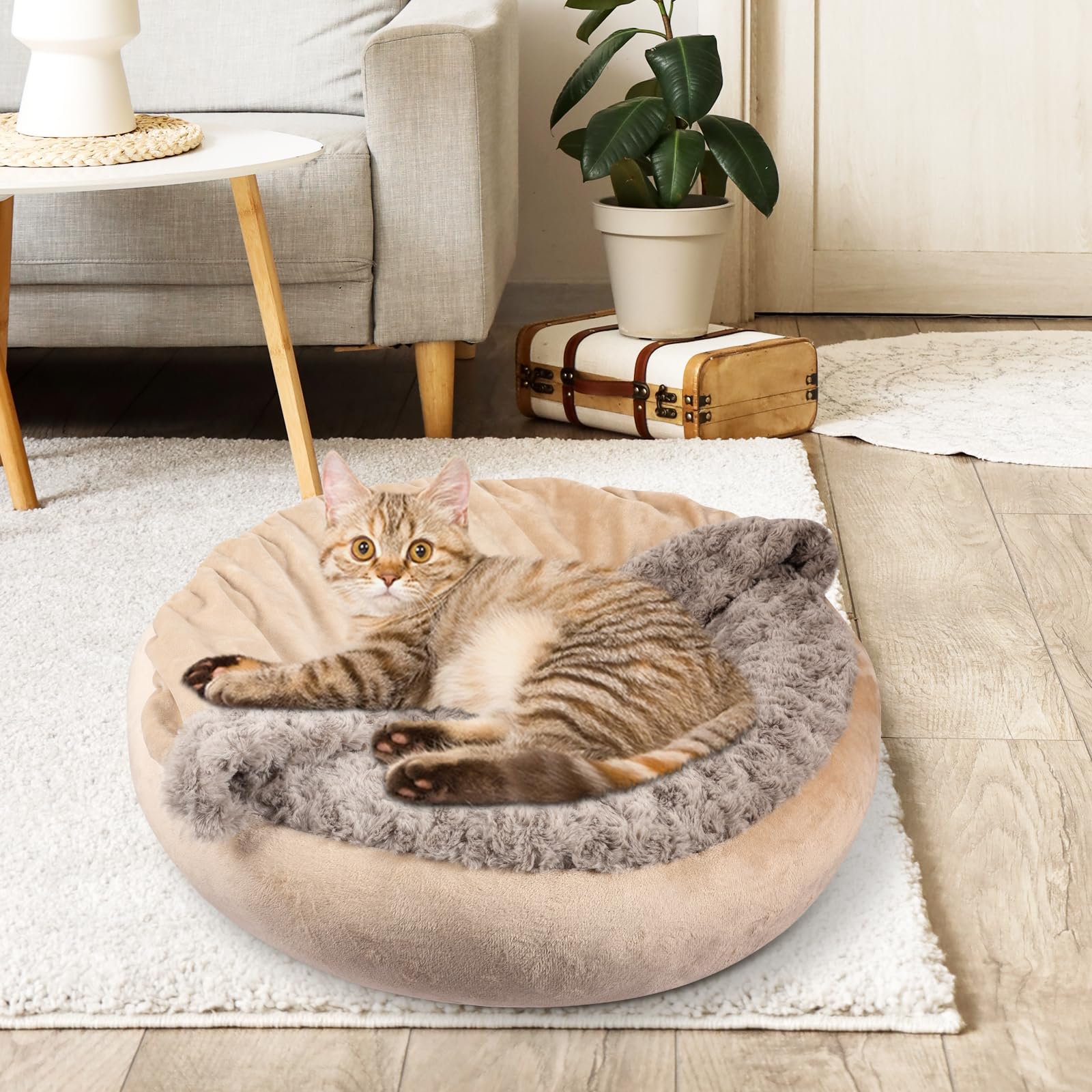 JOEJOY taille M: convient aux animaux moyens.