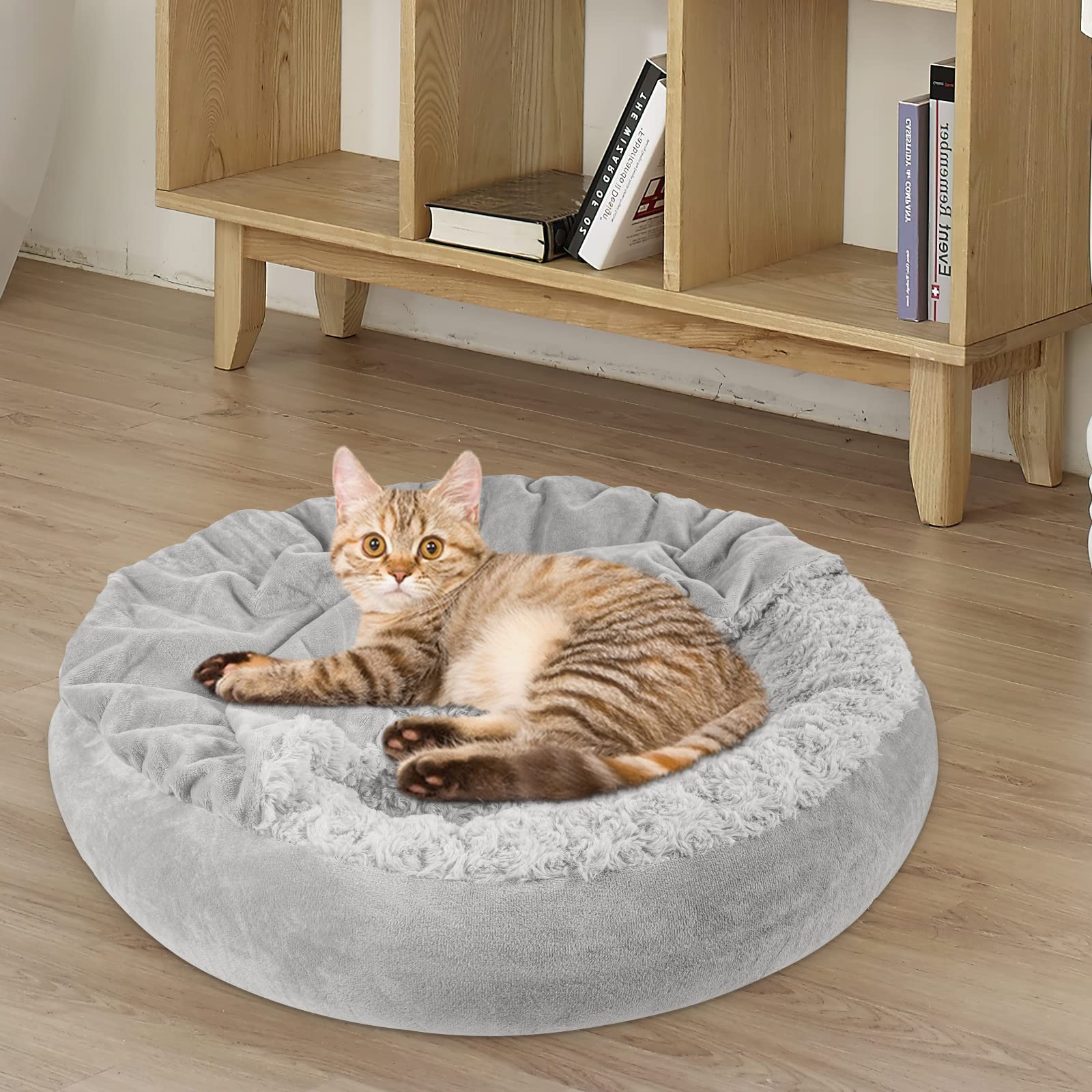 JOEJOY taille M 26x26x8 pouces adaptée chiens moyens.