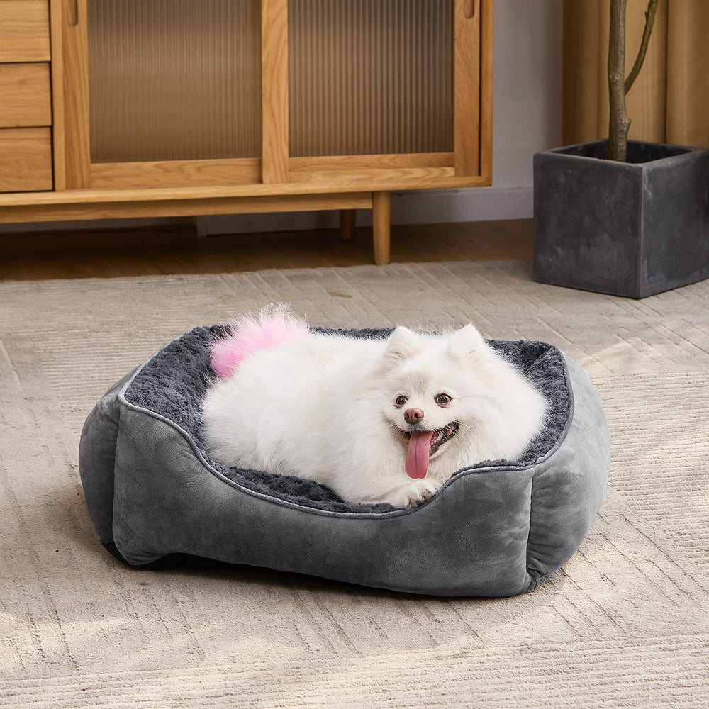 Tailles variées JOEJOY pour petits, moyens et grands chiens