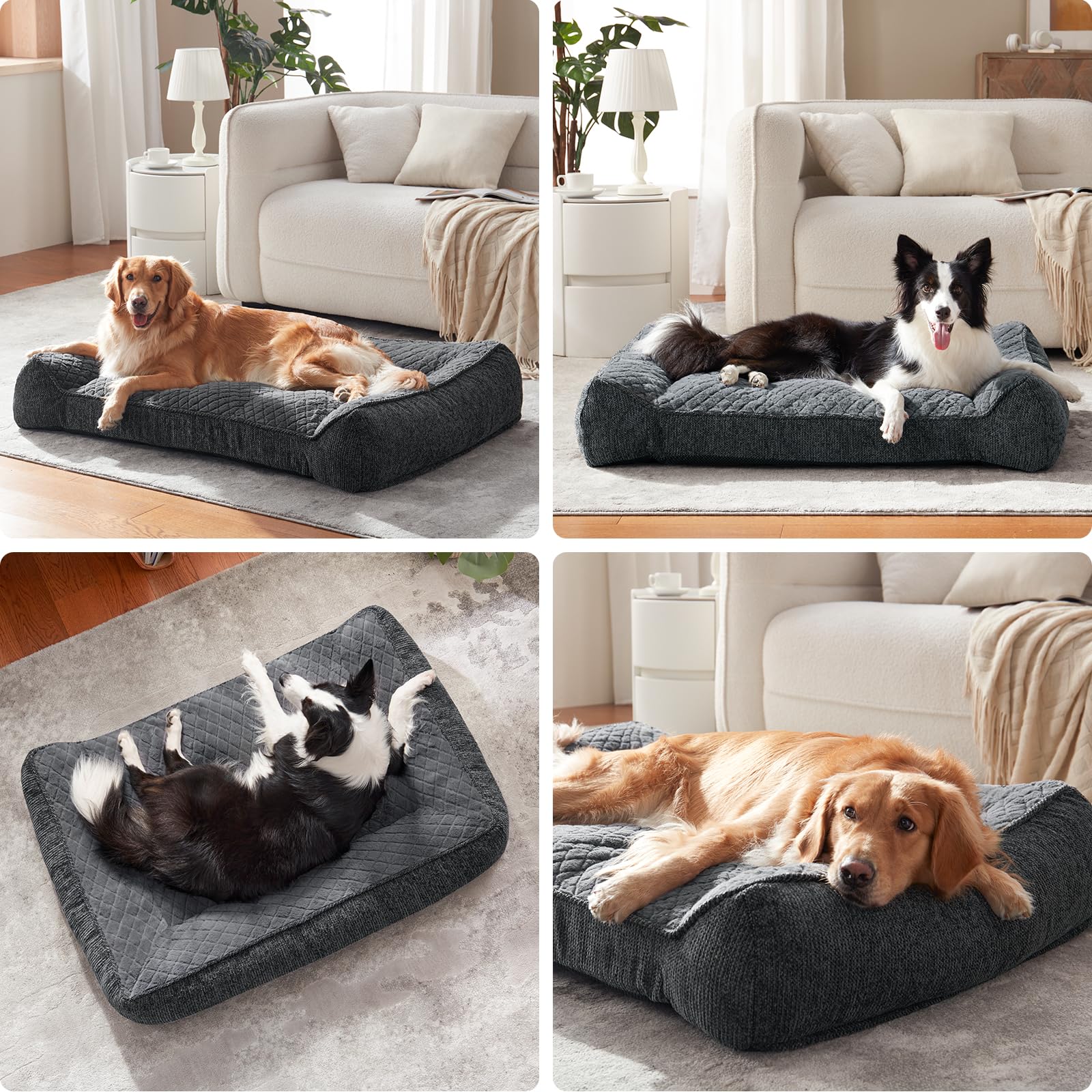 JOEJOY XL – grande taille 42x30, ajustement idéal pour chiens spacieux