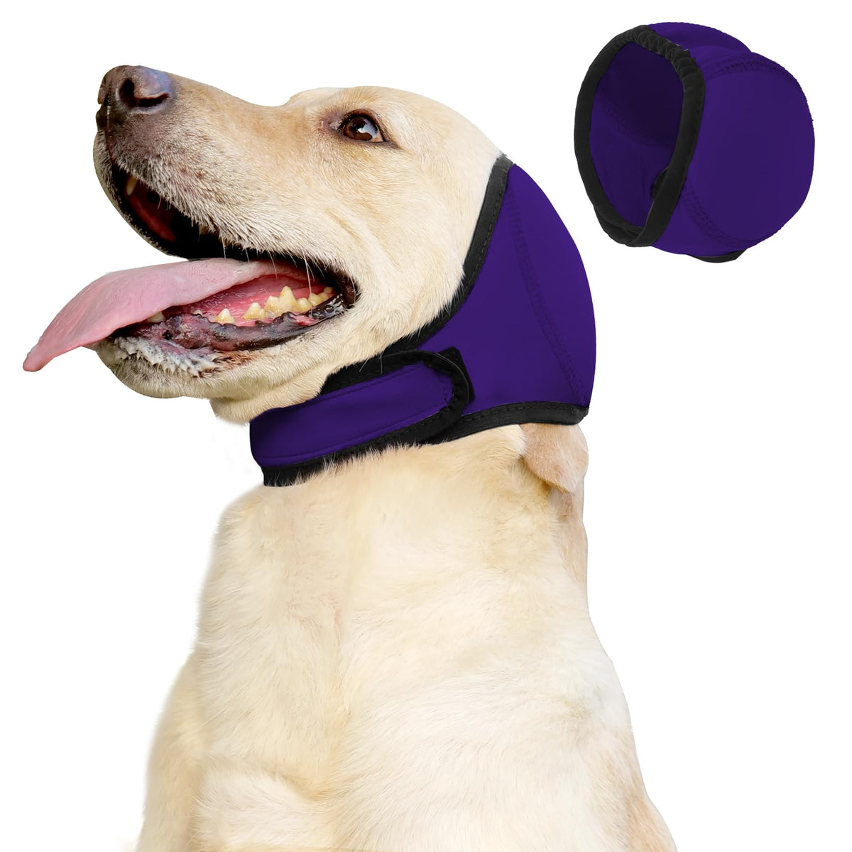 JOHNBOLIN couvre-oreilles pour chien violet, confort et réduction du bruit.