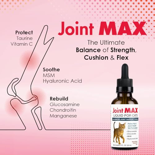 Joint Max Liquid en usage direct pour absorption rapide.