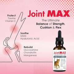 Joint Max Liquid en usage direct pour absorption rapide.