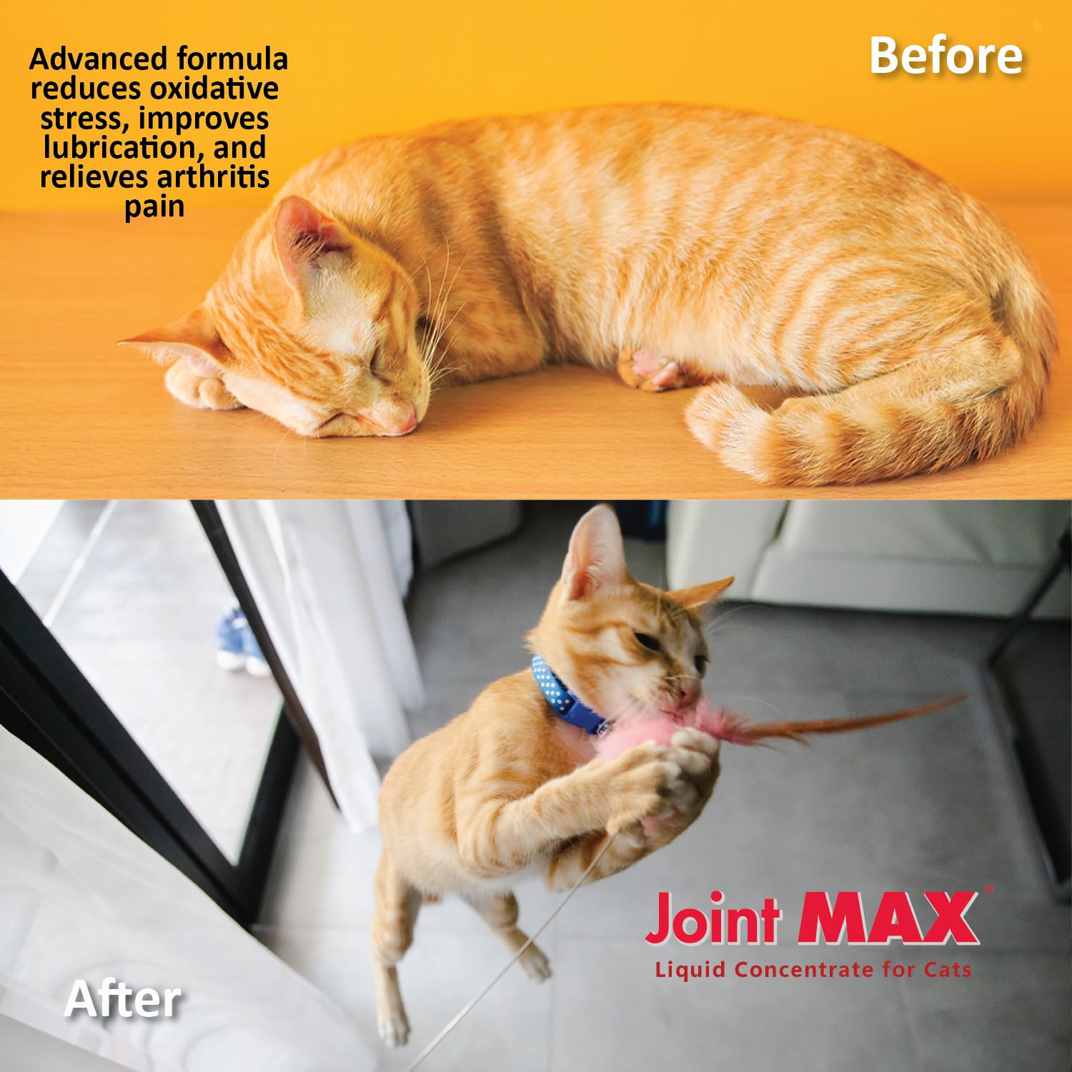 Joint Max Liquid certifié NASC pour la sécurité et la traçabilité.