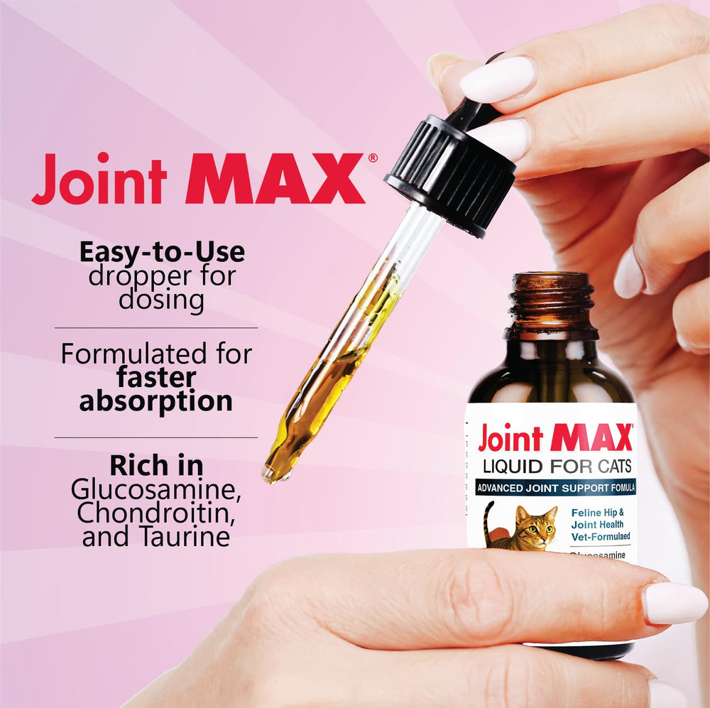 Joint Max Liquid confort accru et mouvement retrouvé pendant les sorties.