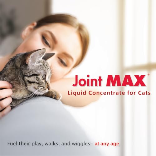 Joint Max Liquid avec pipette, administration pratique au quotidien.