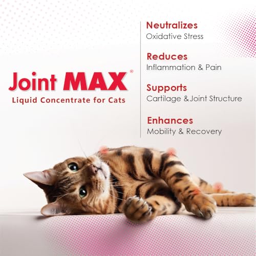 Joint Max Liquid mélangé à la nourriture pour soutenir les articulations.