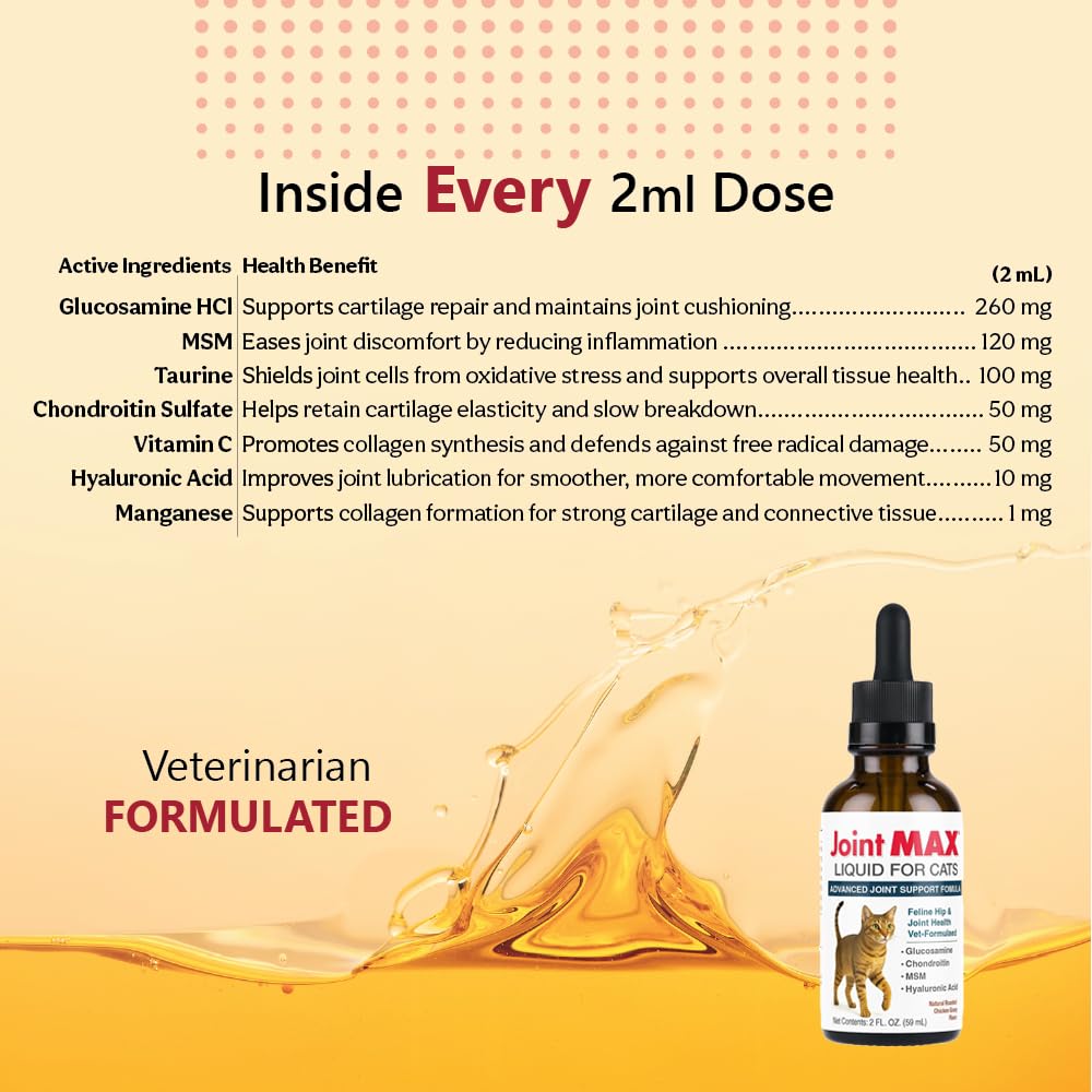 Joint Max Liquid soutien des articulations et de la flexibilité chez les chats.