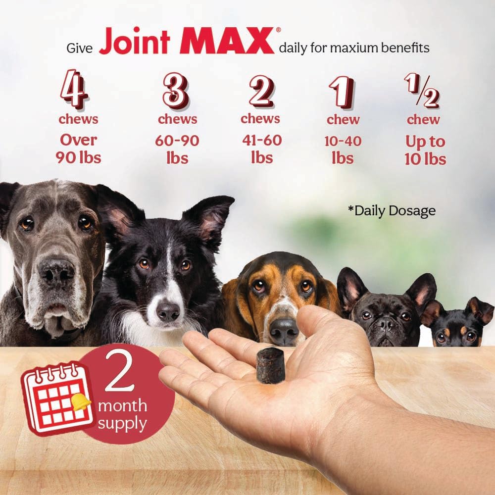 Joint Max TS activité-quotidienne, aide potentielle à rester actif malgré l’âge.