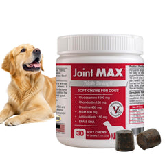 Joint MAX TS: bouteille-chews-fruits montre des friables savoureuses pour chiens.