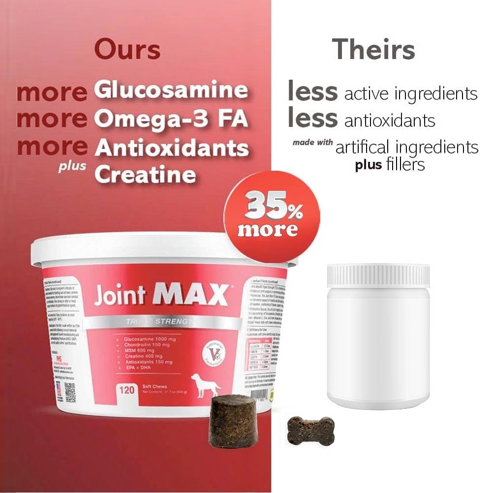 Joint Max TS chien heureux, supports mobilité lors de jeux et balades.