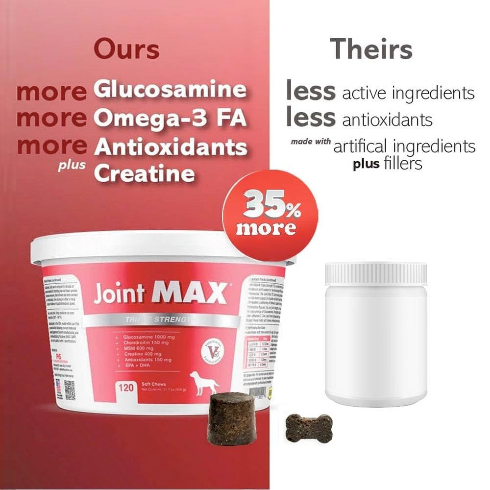 Joint Max TS chien heureux, supports mobilité lors de jeux et balades.
