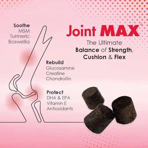 Joint Max TS : chien mange friandises molles