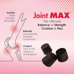 Joint Max TS : chien mange friandises molles
