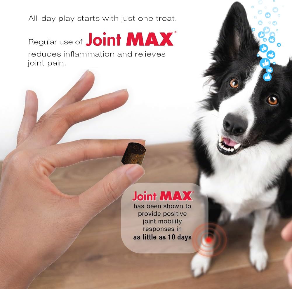 Joint Max TS : formule avancée pour mobilité