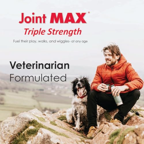 Joint Max TS : friandises molles saveur foie en gros plan