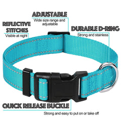 Collier Joioda en nylon réglable pour chiens de toutes tailles.