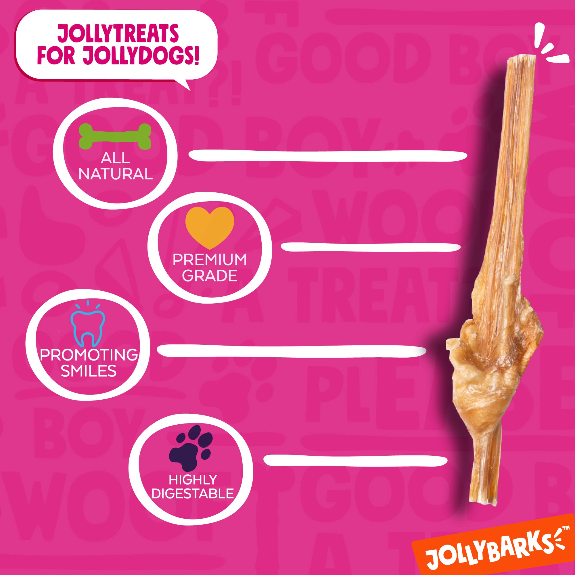 Jolly Barks Junior – os bovin, texture plus douce pour dents sensibles.