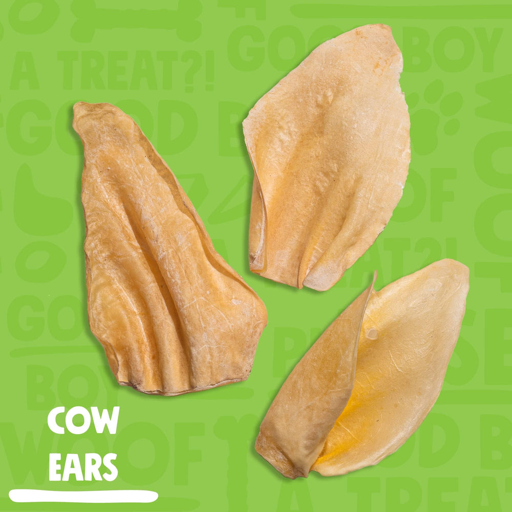Jolly Barks – Oreilles entières de vache blanches, forme naturelle.